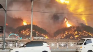 韓国火事