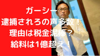 ガーシー 逮捕されろの声多数！理由は税金泥棒？ 給料は1億超え！｜TrendWatch