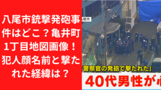 八尾市銃撃発砲事件はどこ？亀井町1丁目地図画像！犯人顔名前と撃たれた経緯は？｜TrendWatch