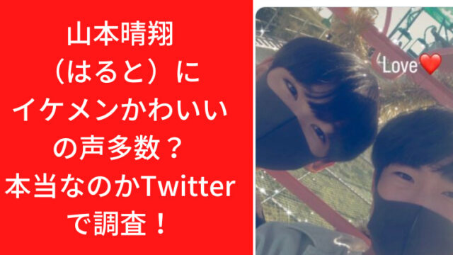 山本晴翔（はると）にイケメンかわいいの声多数？本当なのかTwitterで調査！｜TrendWatch