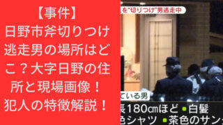 【事件】日野市斧切りつけ逃走男の場所はどこ？大字日野の住所と現場画像！犯人の特徴解説！｜TrendBox